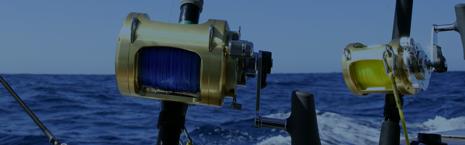 Giant bluefin tuna fishing packages — Top Notch Tuna Charters – Top Notch Tuna Charters